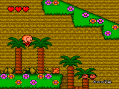 https://resource3.consolegame.org/pce/thumb/beetle-pce-a9a720a7-1213-4c13-bb51-4471a03f048b.png