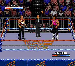 WWF Rage in the Cage background