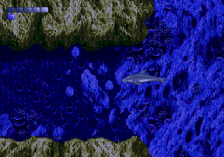 Ecco the Dolphin background