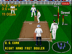 Brian Lara Cricket 96 (Europe) (April 1996) background