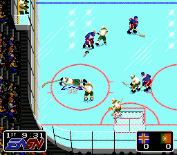 Pro Hockey (Japan) background