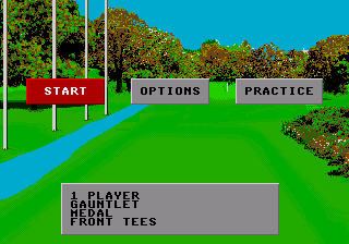 World Class Leaderboard Golf (USA) background