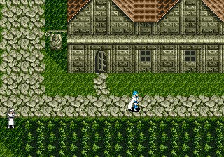 Phantasy Star III - Generations of Doom (Brazil) background