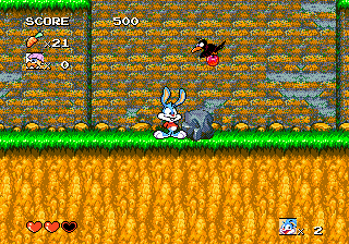 Tiny Toon Adventures - Buster's Hidden Treasure (USA) background
