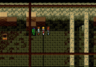 Phantasy Star IV (USA) [Bug Fix by Sixfortyfive v1.0] (Level 99 Fix) background