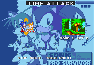 Sonic 3 & Knuckles - Pro Survivor background