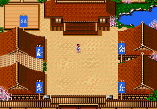 Budokan - The Martial Spirit (USA) background