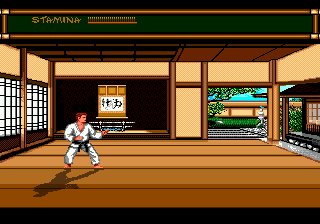 Budokan - The Martial Spirit (Europe) background