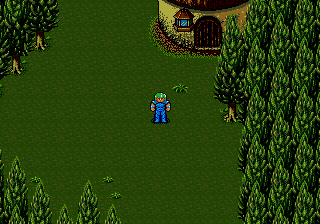 Sorcer Kingdom (Japan) background