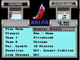 NHLPA Hockey 93 (USA, Europe) background