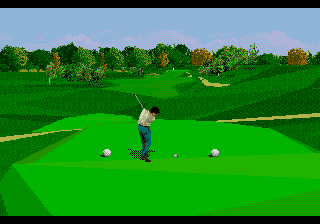 PGA Tour 96 (USA, Europe) background