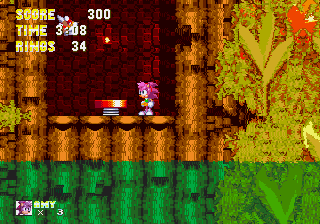 Sonic 3 and Amy Rose background