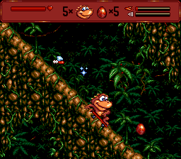 Radical Rex (Europe) background