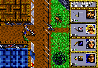Dungeons & Dragons - Warriors of the Eternal Sun (USA, Europe) background