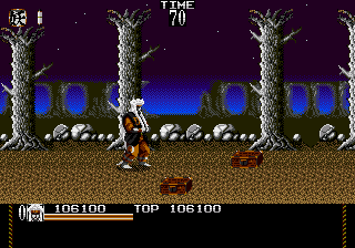 Mystical Fighter (USA) background