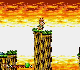 Squirrel King (Unl) background